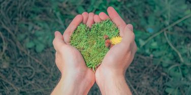ecologie-reconversion-jobboard