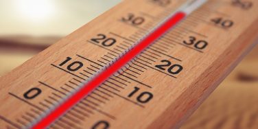 canicule que dit la loi