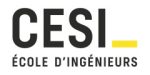 Logo CESI Executive