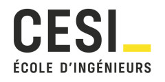 Avatar CESI Executive
