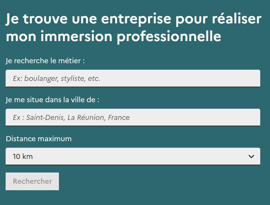 immersion-facilitee-candidat