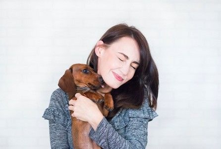 pet sitter à son compte