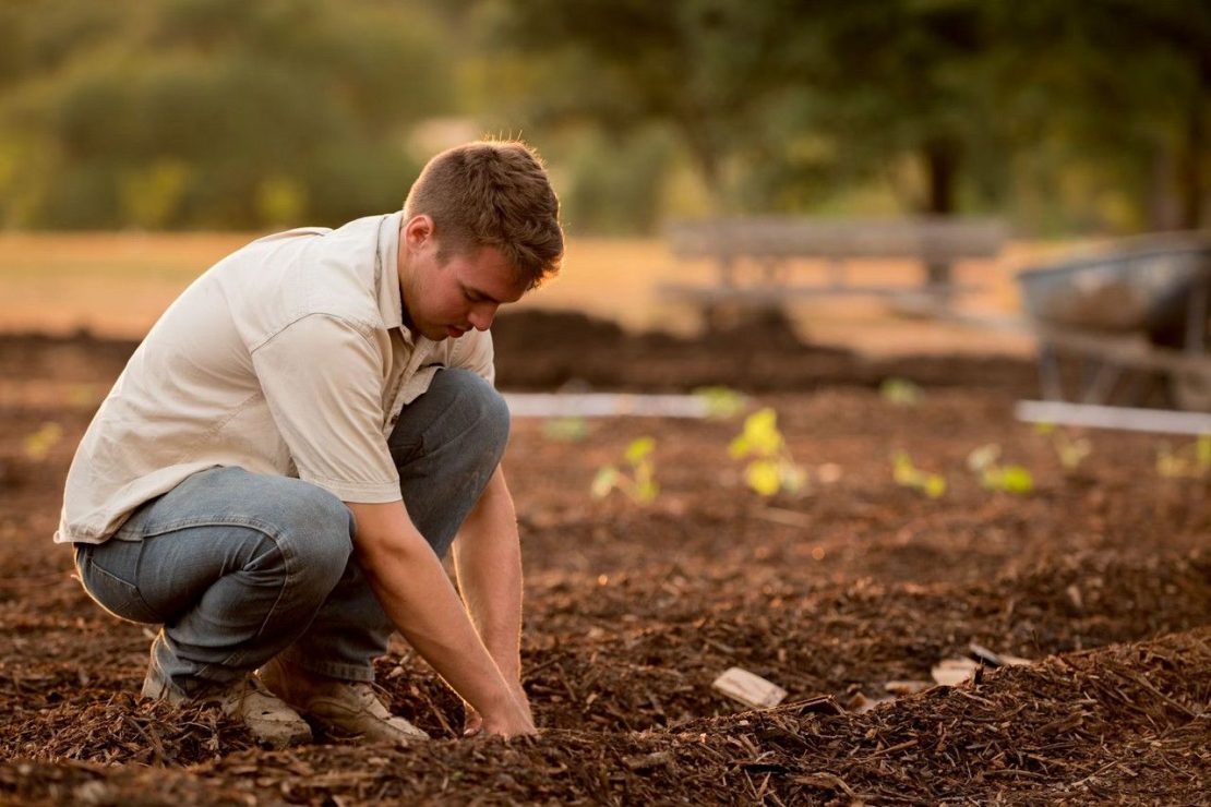 agriculteur danger