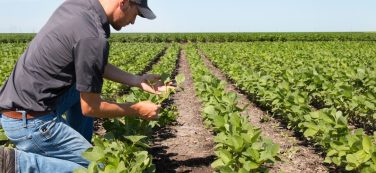 métiers agriculture