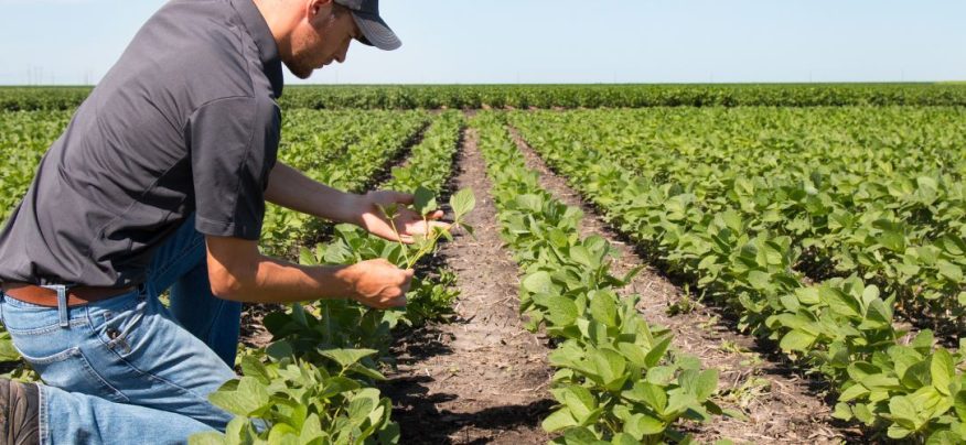 métiers agriculture